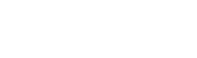 Aladdin logo in white