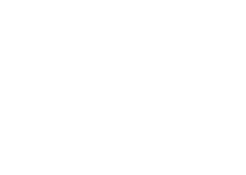 Despicable Me 2 logo in white