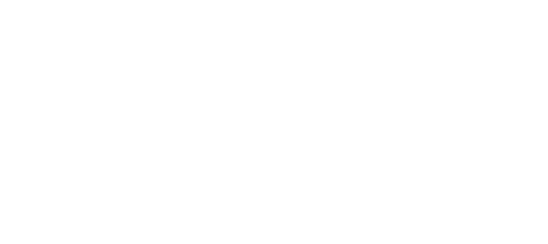 How to Train Your Dragon 2 logo in white