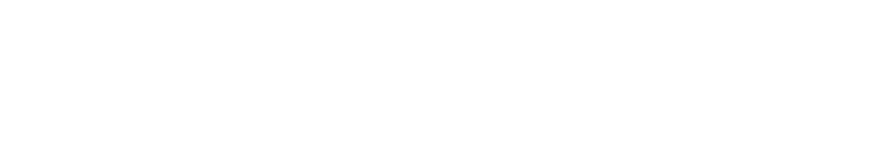 Stalker logo in white