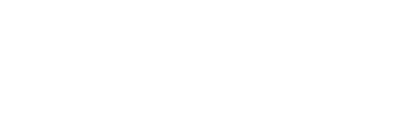 The Godfather Part II logo in white