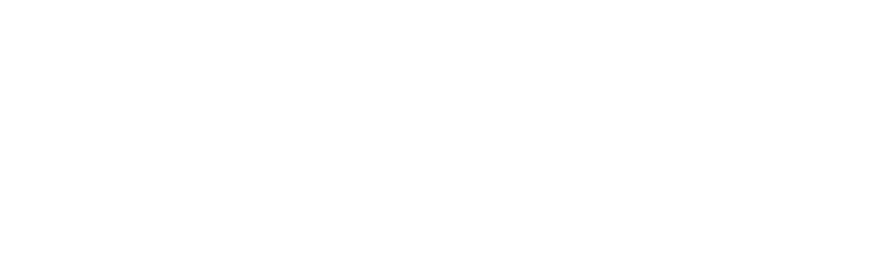 The Lion King logo in white