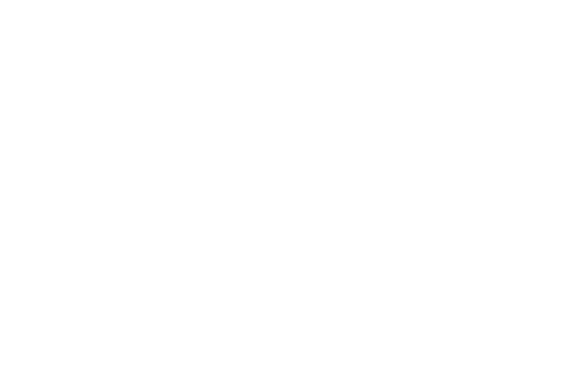 Castle logo in white